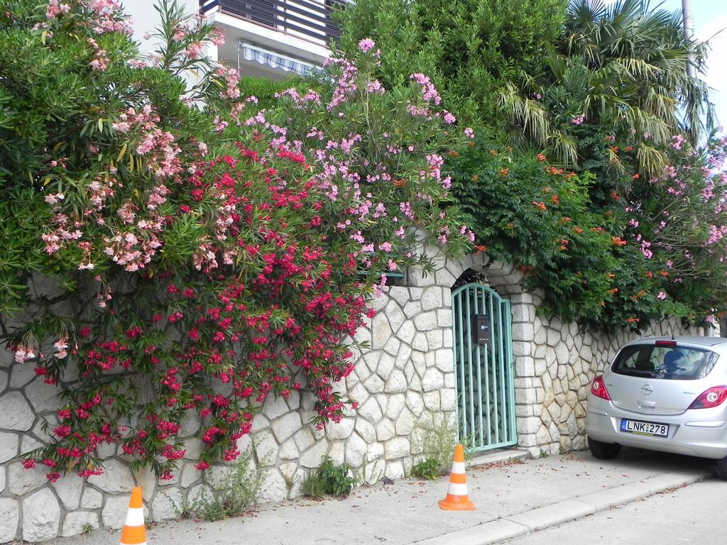 Apartments Katalenic سيلتسي المظهر الخارجي الصورة