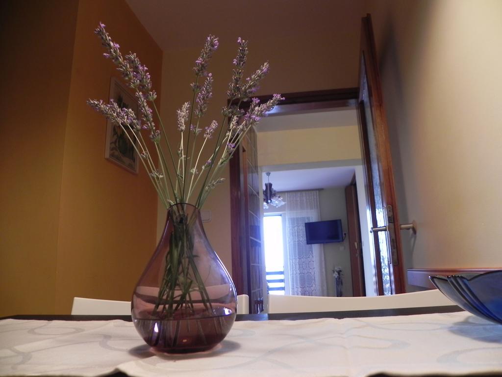 Apartments Katalenic سيلتسي المظهر الخارجي الصورة